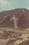brown1.jpg (102046 bytes)